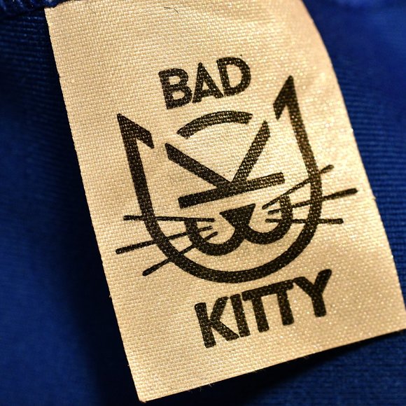 Bad Kitty Polefit Retro Sports Top NWOT - Picture 6 of 8